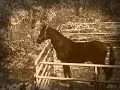At A to Z Guest Ranch