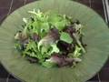Nasturtium Salad - Pretty and Delicious
