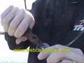 Crank Bait