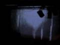 MArk XIII - 10th Anniversary The Fly
