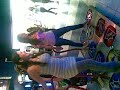 roberti�o hammerhead baile en el san ma