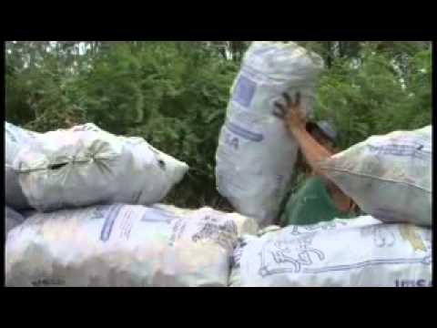 Imagen de previsualización de YouTube