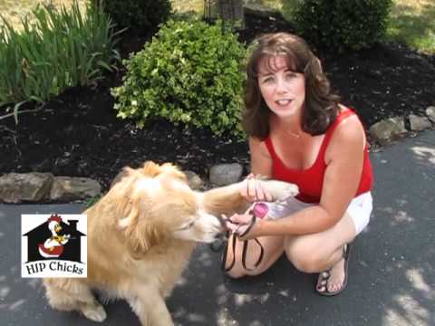 www.DIYHIPChicks.com - Beth Allen shows some goofy and practical ways to keep cool on hot days