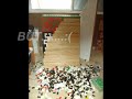 Domino Dedication ( disaster )