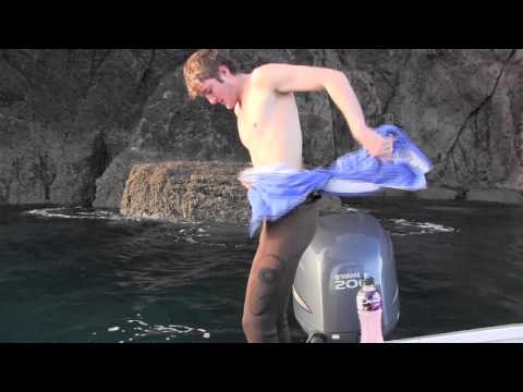 how to repair open cell wetsuit