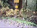 Chilliwack Quad Riding