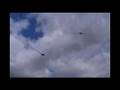 Slovak Hawk