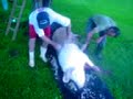 MOV07848_h263.3gp