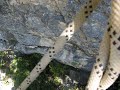 Arco naturale di Fondarca - Discesa da 50 m in soggettiva