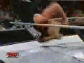 RVD VS Sandman VS Dreamer VS Sabu Extreme Rules Match RVD VS Sandman VS Dreamer VS Sabu Extreme Rules Match