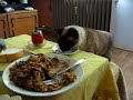 My Faforite cat