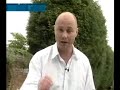 Perma Clear Infomercial. Visit viatekproducts.com Perma Clear Infomercial. Visit viatekproducts.com