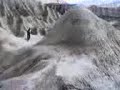 pirri y polol en las bardenas
