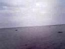 Barelang Beach