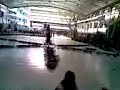 BSN 1K CHEERDANCE
