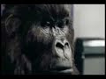 gorilla ad remix (i like the way you move)
