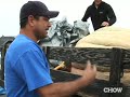 CHOW Giant Pumpkins - You\