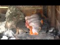 Primitive Skills: How to roast a fish and other things over a fire