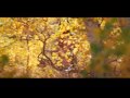 The Road Home - 我的父亲母亲 (4/11)