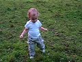 Toddler walking in horse pasture Toddler walking in horse pasture