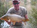 Mequinenza 2008 Stalking Carp