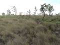 videos de Finca La Primavera_2