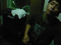 mycoplasma band