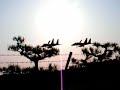 F-15J land at Komatsu Air Base??????F-15J???2? F-15J land at Komatsu Air Base??????F-15J???2?
