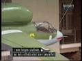 The Luftwaffe fighters story 5 of 5