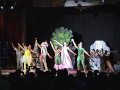 videos de CAMPANILLA  EN EL PAIS DE LOS SUEÑOS   ( por Paula,      nov - 2007 )