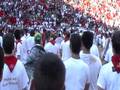 videos de Pamplona Toril Bull 5