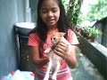 Tabor\ Tabor\