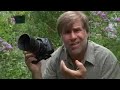Roy Toft demonstrates techniques on how to shoot macro photography using the Tamron 60mm, 90mm and 180mm lenses.