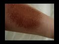 Coastal Scents Pink Duo Fiber Brush vs. MAC 187