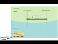 Gene Expression