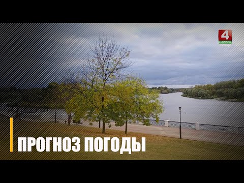 Ночью ожидается дождь. Узнали, какая погода в Гомеле будет 6 октября видео