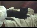 videos de clairabell 