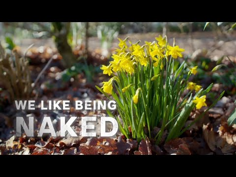 We Like Being Naked – a Channel 5 documentary – Naked Neil