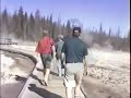 Grizwald Family Vacation - Yellowstone