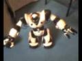 robosaipen
