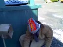The Adventures of Russle the homeless guy part 4
