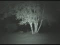Ghost Mist at Cemetery in Pictou, NS