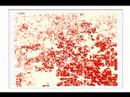 Oakland County Growth from 1800 - 2005 Oakland County Growth from 1800 - 2005