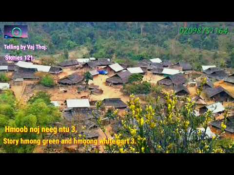 Lub zos hmoob noj neeg ntu 3 (part3) 12/5/2019.