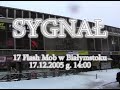 17 Flash Mob in Bialystok (Poland)