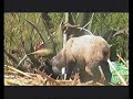 uvm lago entrevista con indigenas