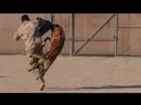 Comics on Duty Tour of the Middle East