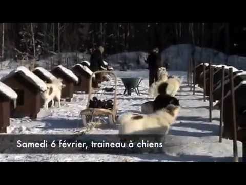 Image de prévisualisation YouTube