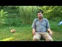 detecting antifreeze poisoning in pets involves looking for symptom such as vomiting, listlessness and weaving, sometimes combined with the smell of antifreeze. take immediate action after detecting antifreeze poisoning in a pet with tips from a veterinarian in this free video on dog care.