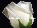 ahmet selçuk ilhan sen vurdunda ben ölmedim mi caddinxxx@hot